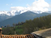 pyrenees